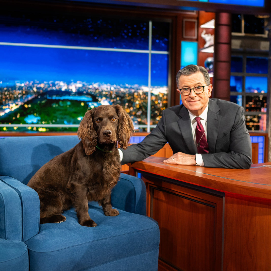 New Year, New Designs